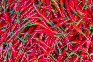 TEFL Teaching Job in Thailand